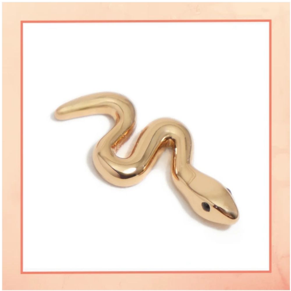 Baby Snake Top Earrings