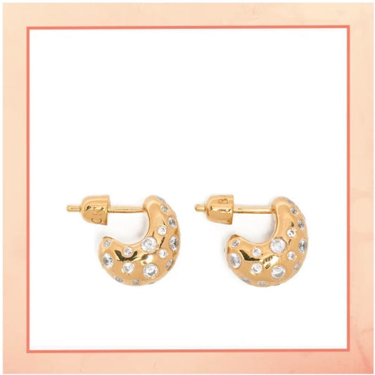 Stars on Moon Earrings