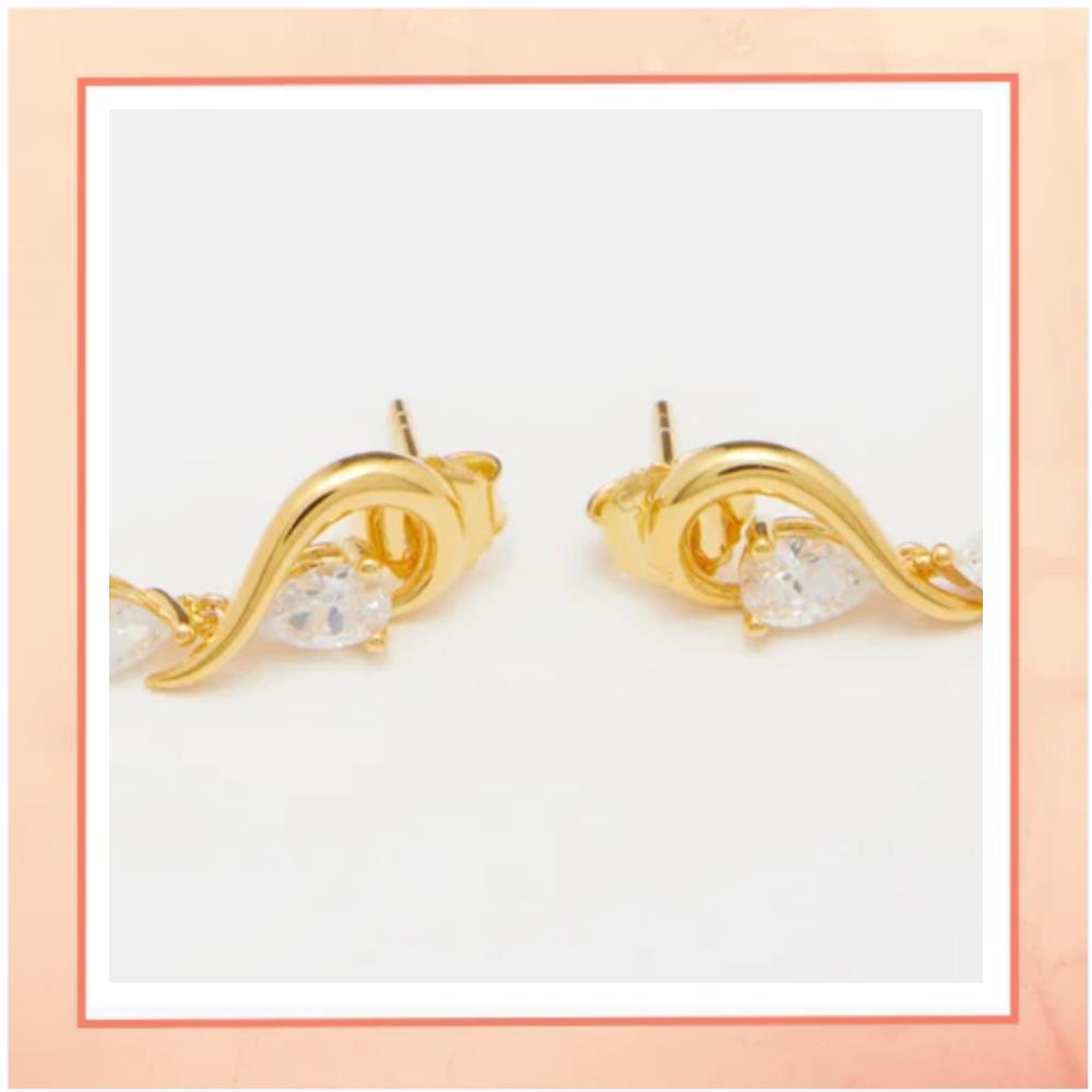 Is that a Question Earrings?
